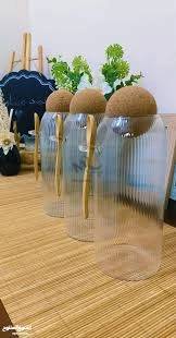 Boîte à épices en verre avec couvercle et cuillère en bois