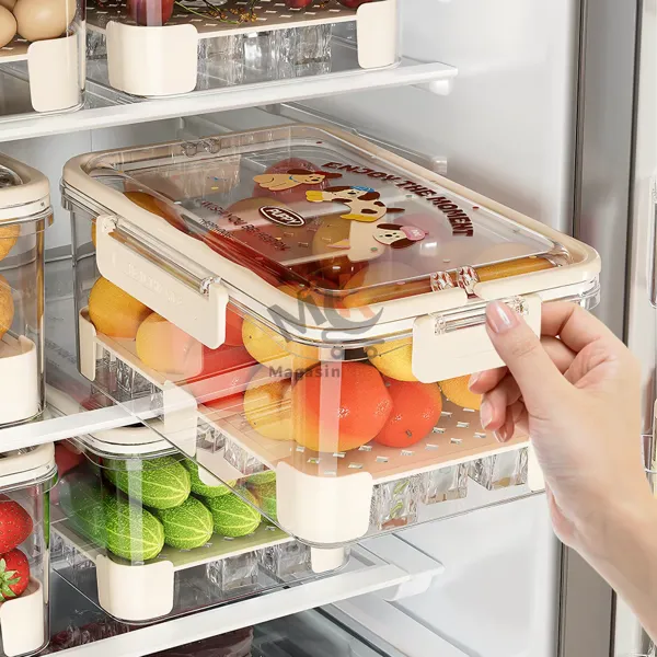 Boîte Réfrigérateur avec Passoire en Plastique