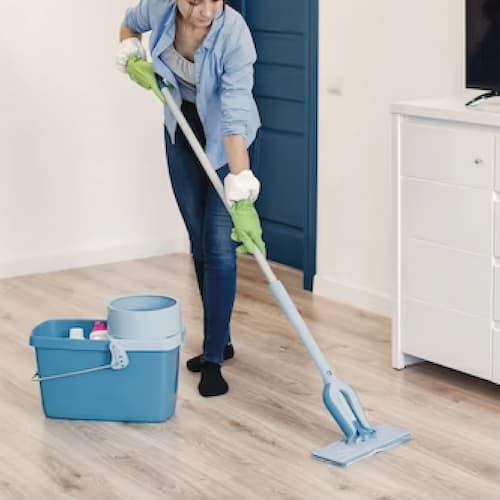 Nettoyage domestique