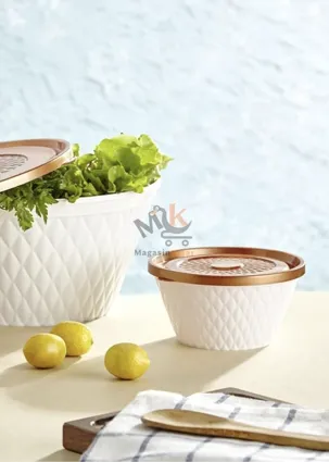 Pack de 4 mini boîtes en plastique avec couvercle