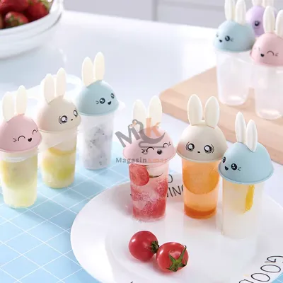 Moule a glace plastique